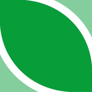 Climate Action logo