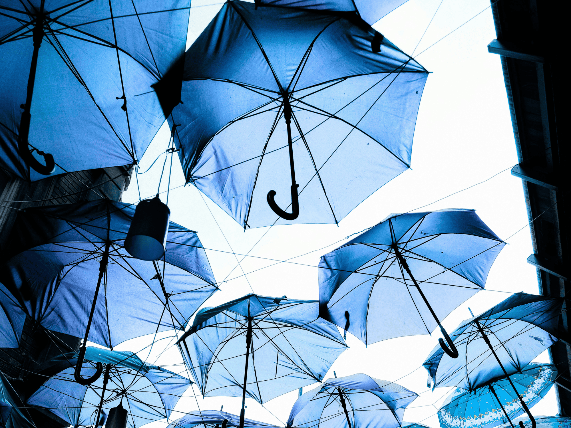 group of blue umbrellas held up by wire and a small light