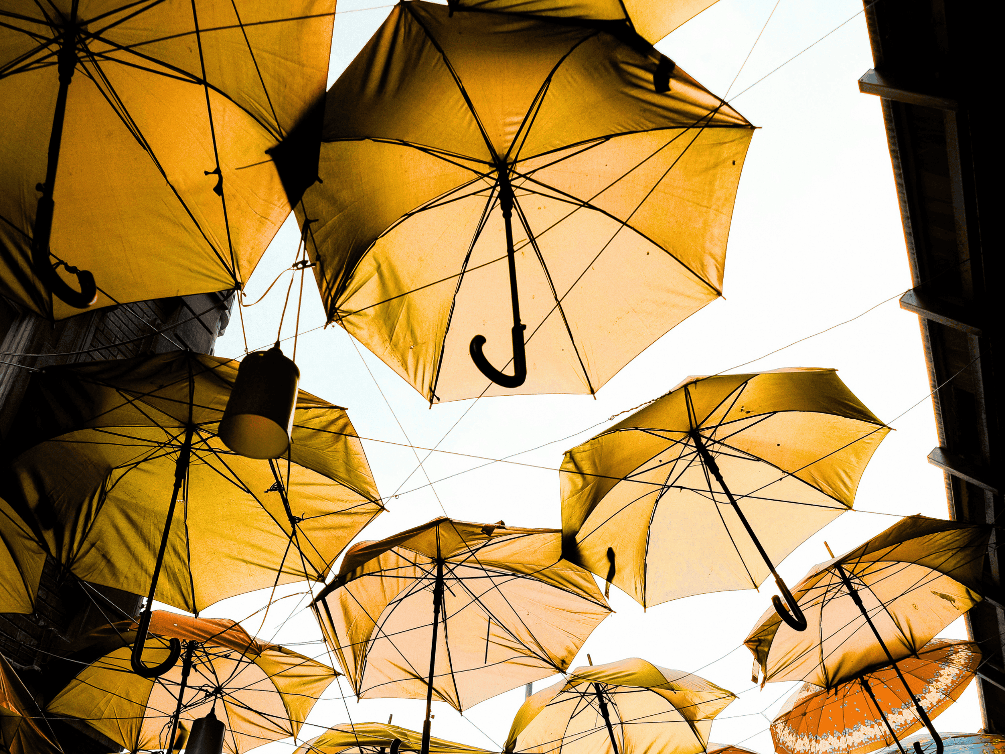 group of orange umbrellas held up by wire and a small light
