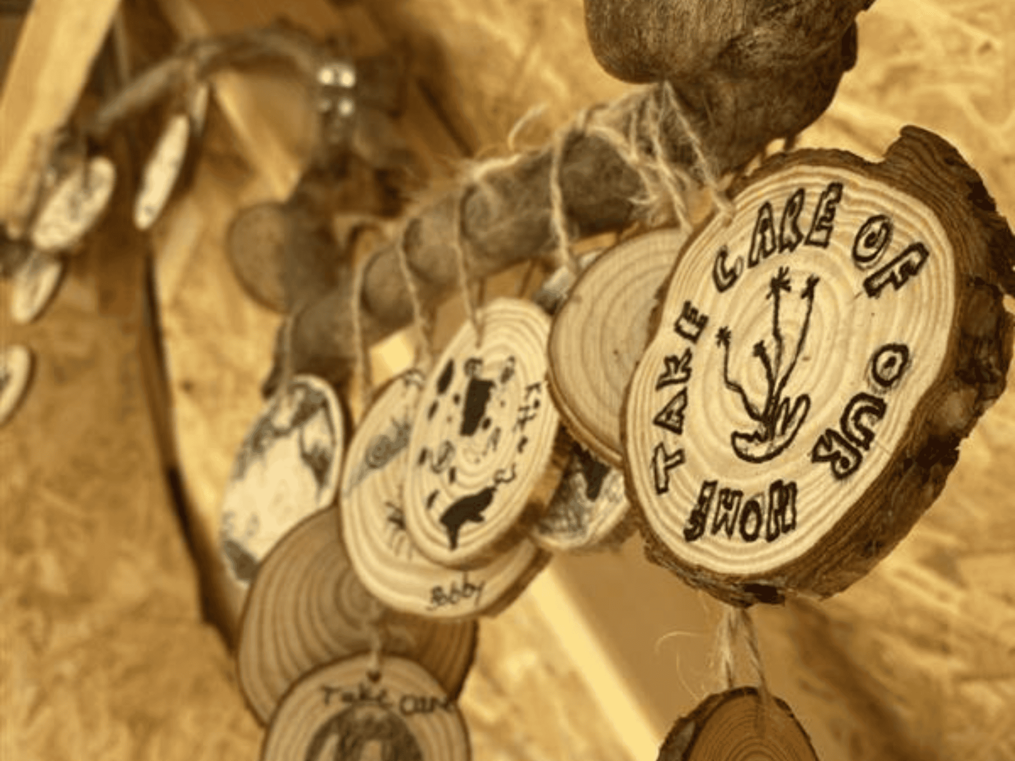 wooden circles hanging with words take care of our home