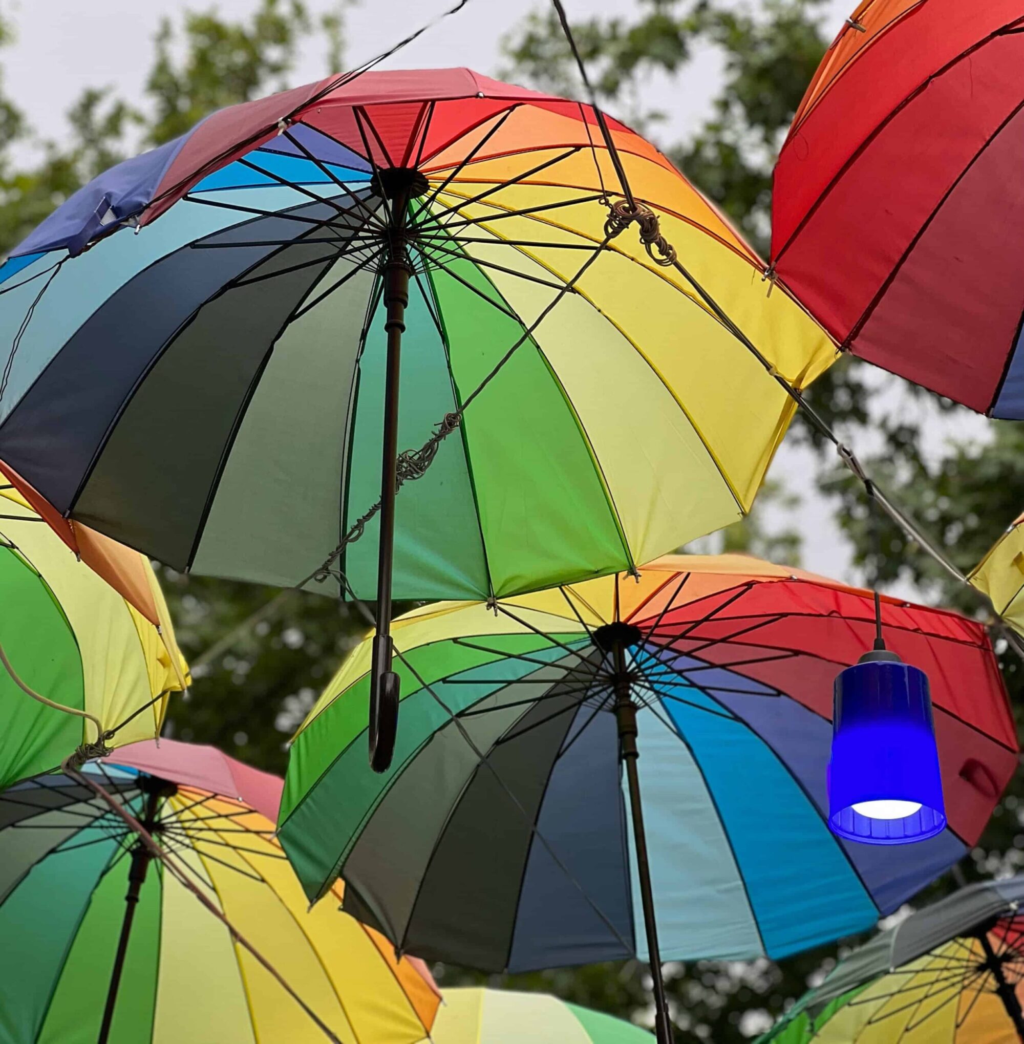 Rainbow coloured umbrellas